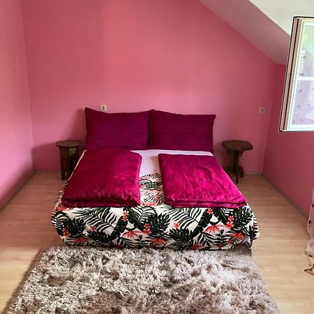 Apartament Untersberg Und Festungsblick Puch bei Hallein Zewnętrze zdjęcie
